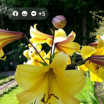 Jeffrey Weed - Twitter Profile Picture of Jeffrey Weed (@JeffreyWeed3) on Twitter