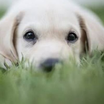 Profile Picture of Daniel Follett (@DanielFollett2) on Twitter