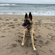 Profile Picture of Jessica And Jim Bacon (@bacomatic2) on Youtube