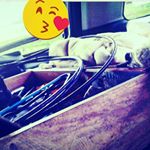 Profile Picture of Tomas Barajas Dueñas (@tomasbarajasduenas) on Instagram