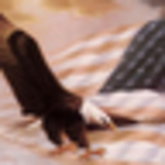 Profile Picture of Stephen Reynolds (@stepreyn70) on Flickr