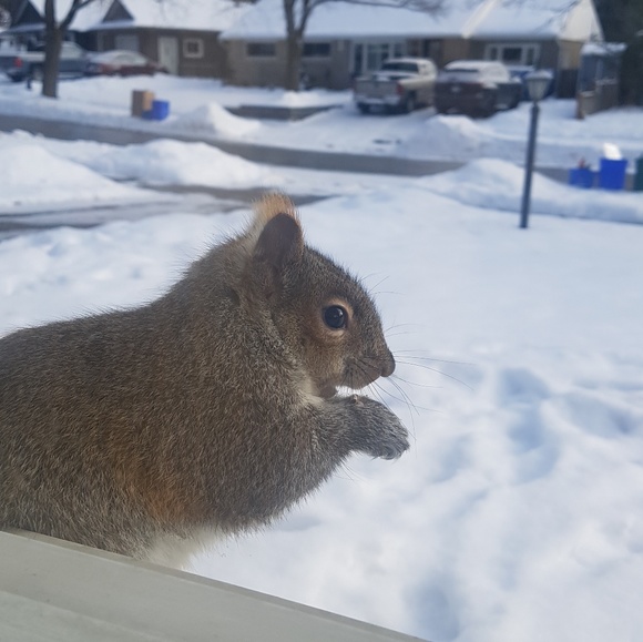 Profile Picture of Victoria Kreller (@victoriakreller) on Poshmark