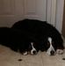 Profile Picture of Dawn Gibbs (@dawn.gibbs.98499) on Facebook