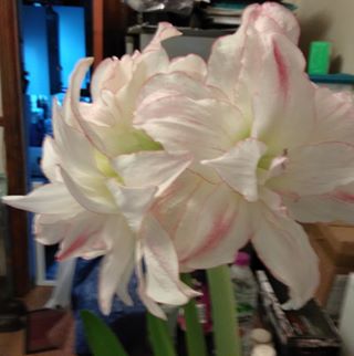 Profile Picture of Philip Hand (@philip.hand.9237) on Facebook