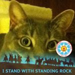 Profile Picture of James Chervenock (@gator_james65) on Instagram