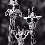Profile Picture of Jacob Humphreys (@jacobdh122019) on Instagram