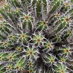 Profile Picture of Bradford Gambrell (@bradidea) on Instagram