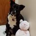 Profile Picture of Sean Howell (@seanh0758) on Pinterest