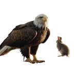 Jerald Larkin - Facebook Profile Picture of Jerald Larkin (@jerald.larkin.50) on Facebook