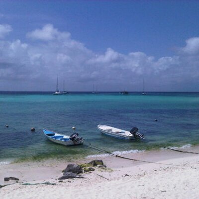 Profile Picture of Carlos G Luciani (@caguluc) on Twitter