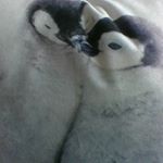 Profile Picture of Lanelle Joanne Lane (@ll117872) on Instagram