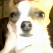 Profile Picture of Peter Adamson (@peteradamson6063) on Youtube