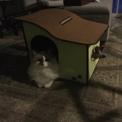 Profile Picture of Jim Kehrer (@JimKehrer3000) on Twitter