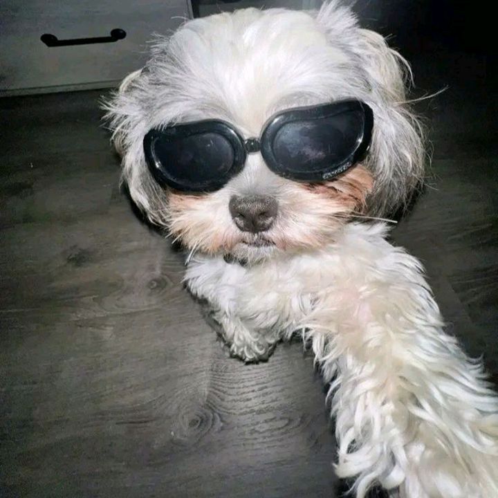 Profile Picture of 𝐒𝐂𝐄•𝑱𝒆𝒎𝒆𝑮𝒔𝒔•🎟 (@jemegss_3rd) on Tiktok