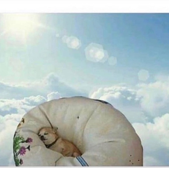 Profile Picture of Brandon Lopez (@crackin) on Poshmark