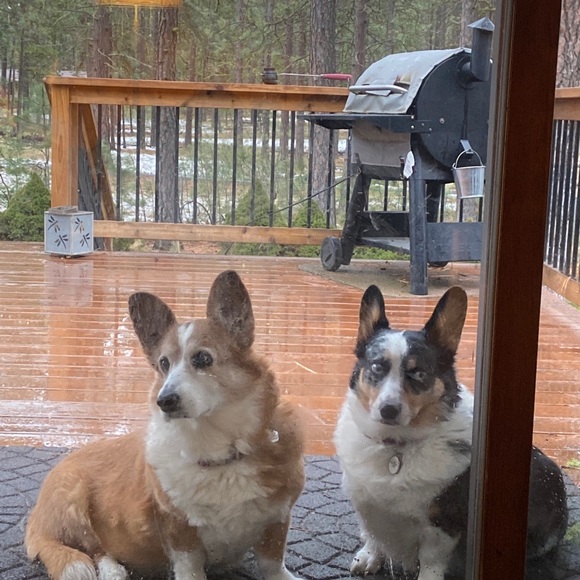 Profile Picture of Brannon Pederson (@brannonpederson) on Poshmark