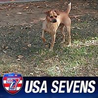 David Sidener - Pinterest Profile Picture of David Sidener (@davside) on Pinterest