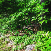 Profile Picture of James Pursley (@jamespursley7486) on Youtube