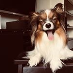 Profile Picture of Amberley Giselle Dupree (@amberleymimimi) on Instagram