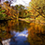 Profile Picture of Sean Dillon (@sdillon0491) on Flickr