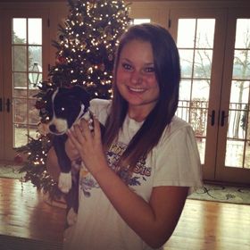 Profile Picture of Carly Elgin (@carlyelgin) on Pinterest