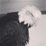 Profile Picture of Matthew (@matthew.yates) on Instagram