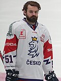 Profile Picture of Roman Horák (ice hockey, born 1991) - Wikipediaon Wikipedia