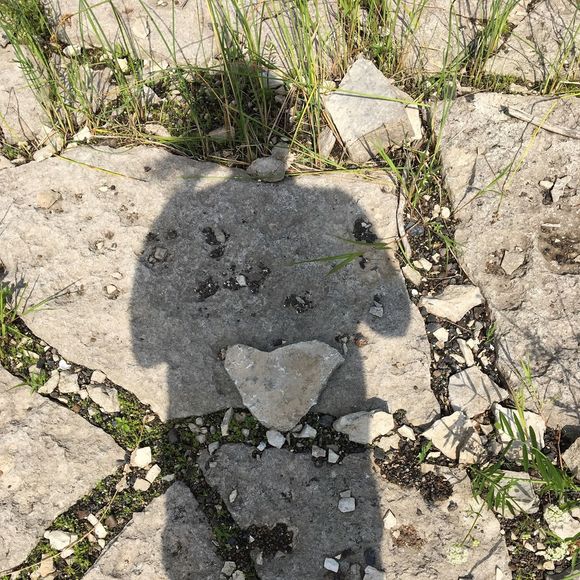 Profile Picture of Tamara Lowndes (@bubbaboo24) on Poshmark