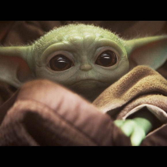 Profile Picture of Madison Craigie (@maddy_craigie) on Poshmark