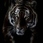 Profile Picture of joseph colin (@drippyj52) on Instagram