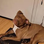 Profile Picture of Mark Hamilton (@Mark-Hamilton) on Facebook