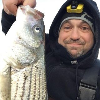 Profile Picture of Jason Hoffmann (@JasonHo84488437) on Twitter