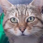 Profile Picture of Serena Pearce (@serenapearce26) on Instagram