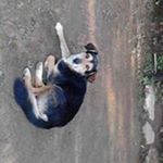 Profile Picture of Mikaela Martínez (@mikaela.martinez.54922) on Instagram