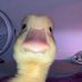Profile Picture of Dennis Duck (@dennis.duck.1004) on Facebook