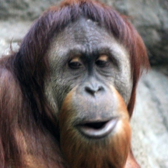 Profile Picture of Aaron Payne (@usafpayne) on Poshmark