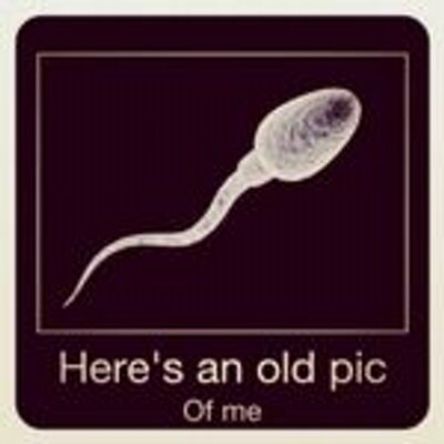 Profile Picture of Stan Hammes (@SwaniawskiDan84) on Twitter