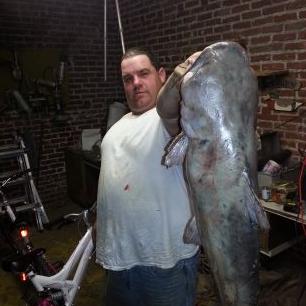 Profile Picture of Toby Rogers (@tobyrogers1977) on Twitter