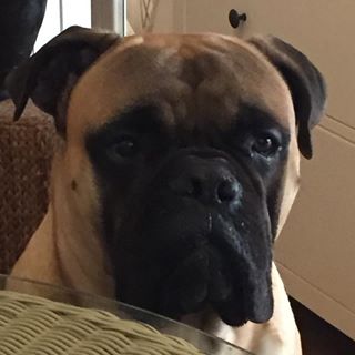 Profile Picture of Martin Prinz (@martin.prinz.10) on Facebook