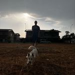 Profile Picture of Michael Torelli (@milkchael_w) on Instagram