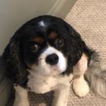 Profile Picture of MarshallWebb (@marshallwebb12) on Instagram