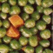 Profile Picture of Simon Reuben White (@simonreubenwhite) on Myspace