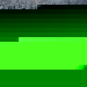 Profile Picture of Keegan Manning (@kbm1981) on Myspace