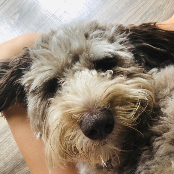 Kylie Mahaffey - Poshmark Profile Picture of Kylie Mahaffey (@kmahaffey1116) on Poshmark