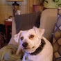Profile Picture of Gibby Thomas (@gibbythomas3254) on Tiktok