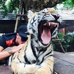 Profile Picture of Cristian Di Palma (@cristiandipalma94) on Instagram