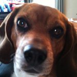 Profile Picture of Keith Schulte (@k173401) on Instagram