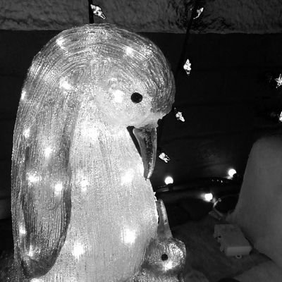 Profile Picture of Kieran Barnes (@KieranB10055510) on Twitter