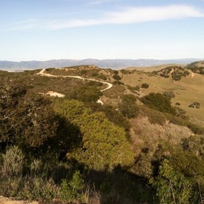 Profile Picture of Mike Jiminez (@JiminezMike) on Twitter