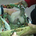 Profile Picture of Lillian Graham (@lilliangraham52) on Instagram